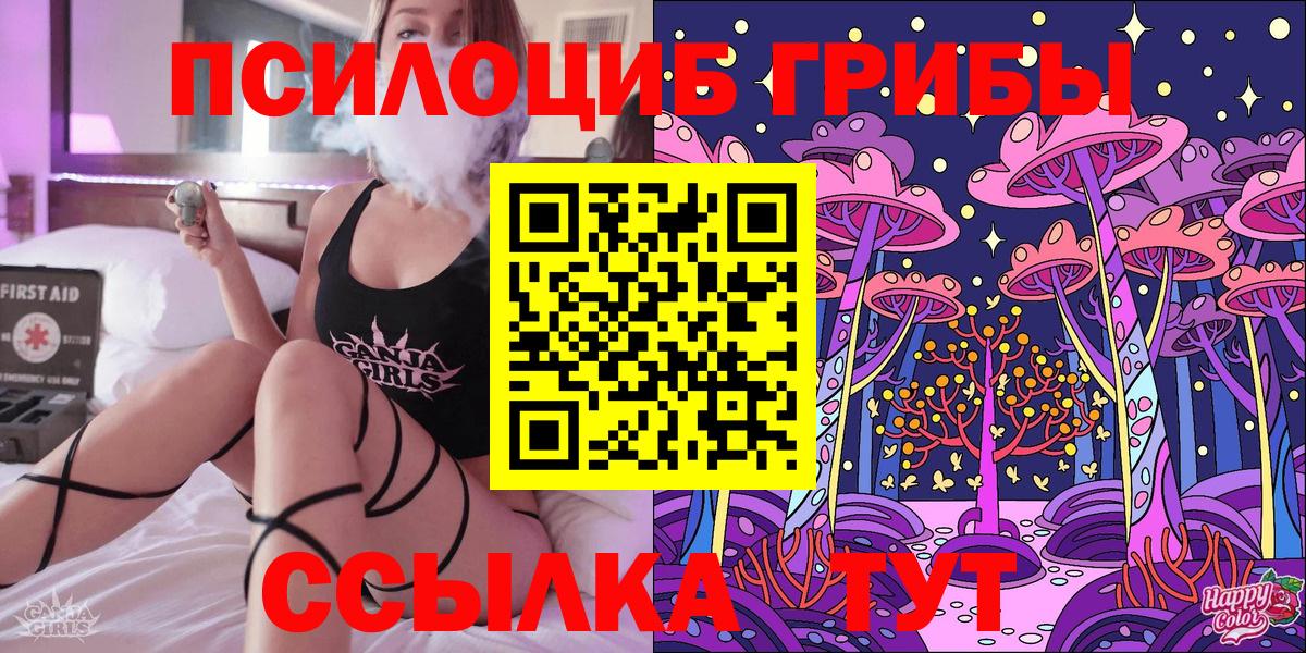 Шебекино  Псилоцибиновые грибы GOLDEN TEACHER  Вход с VPN 
