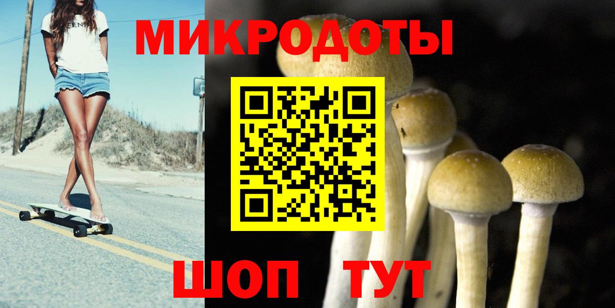 Псилоцибиновые грибы прущие грибы Шебекино